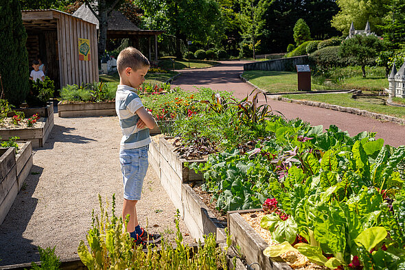 Enfant jardins mct
