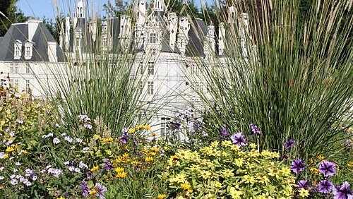 Jardin à l'anglaise