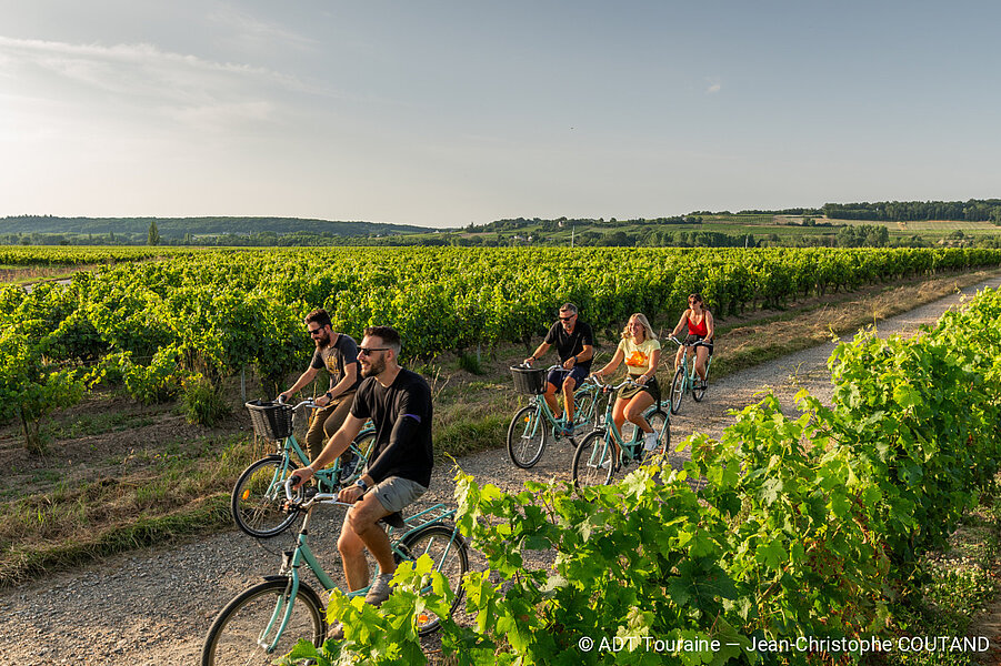 Personnes faisant du vélo dans les vignes