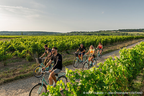Personnes faisant du vélo dans les vignes