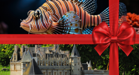 Visuel carte cadeau noel 